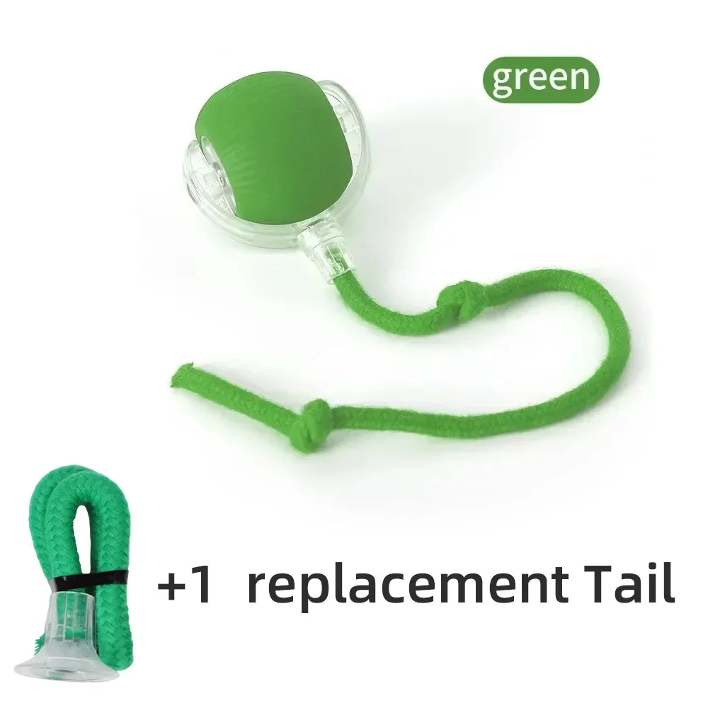 Smart Interactive Electric Rolling Ball Toy for Cats - USB Rechargeable Automatic Teaser