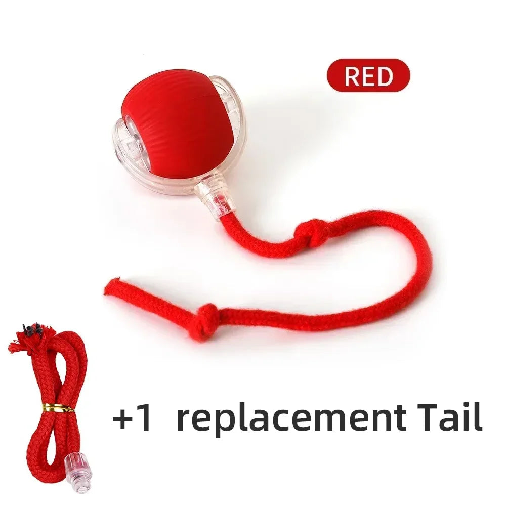 Smart Interactive Electric Rolling Ball Toy for Cats - USB Rechargeable Automatic Teaser