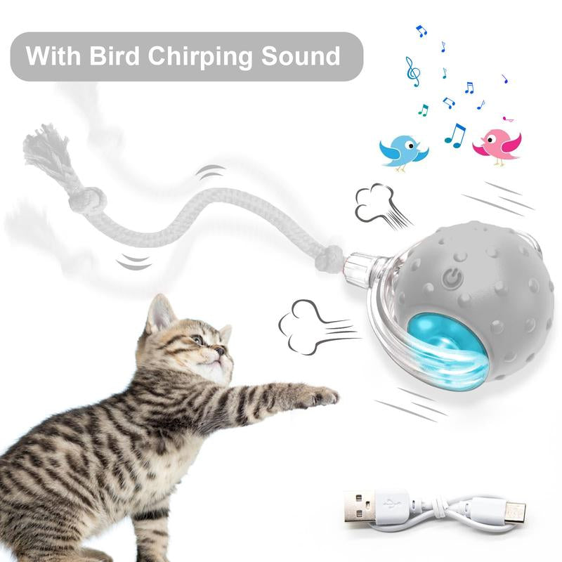 Stream Cat&Dog Toy - Interactive USB Rechargeable Ball Toy on Rug , Anti-Depression Fun Gift for Cats & Dogs