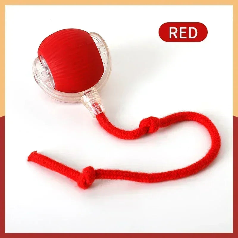 Smart Interactive Electric Rolling Ball Toy for Cats - USB Rechargeable Automatic Teaser